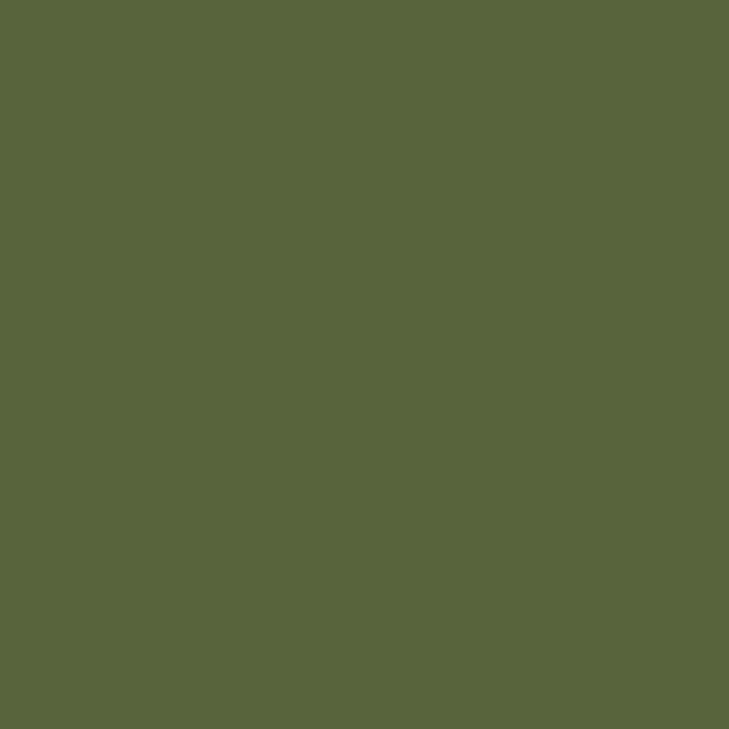 Liso Verde Musgo